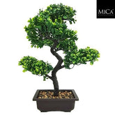 Bonsai In Pot Green - L30Xw30Xh38Cm